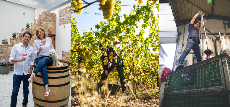 Rotary Wijnen - project van RAYA